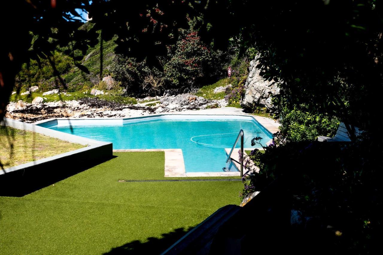 Bayview 305A Apartman Hermanus Kültér fotó